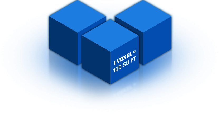 VOXEL-100